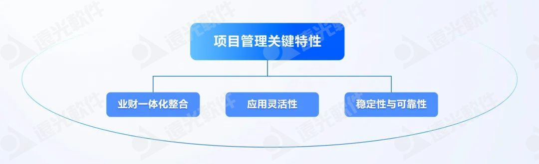 DAP专题 | 项目管理：集团企业的高效运营引擎