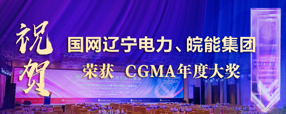 祝贺国网辽宁电力、皖能集团荣获“财界奥斯卡”CGMA年度大奖