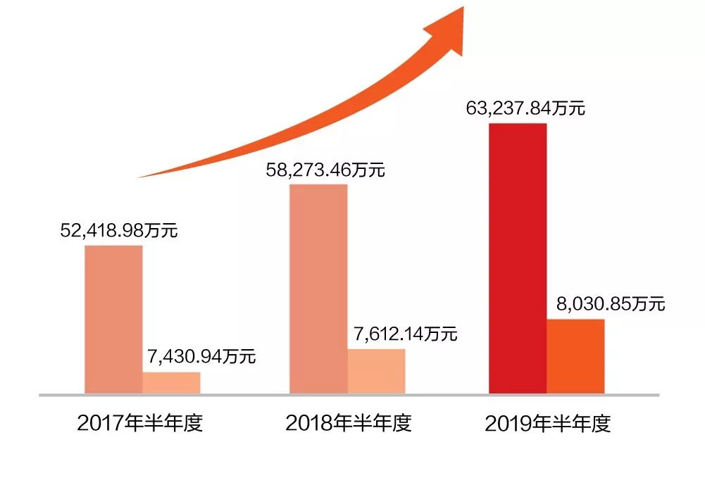 一图看懂凯发k8天生赢家一触即发软件2019年半年报