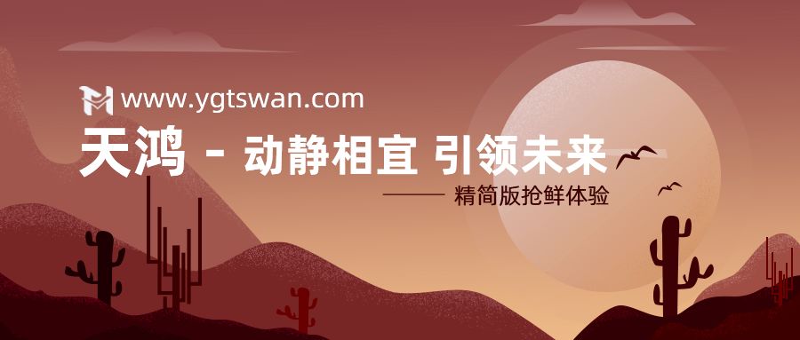 动静相宜，引领未来——凯发k8天生赢家一触即发天鸿1月1日正式上线！